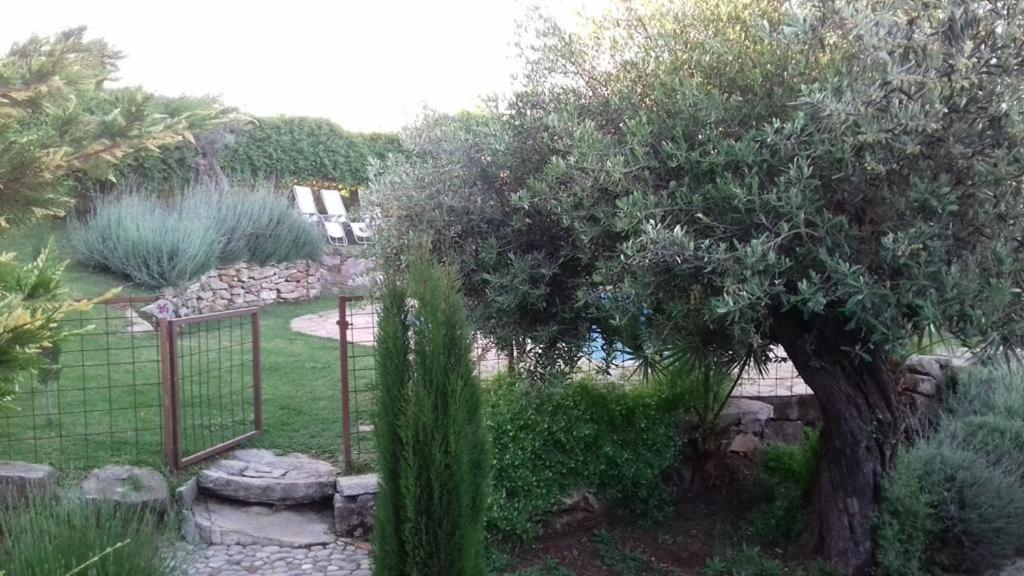 Casas De Almajar Βίλα Prado Del Rey Εξωτερικό φωτογραφία