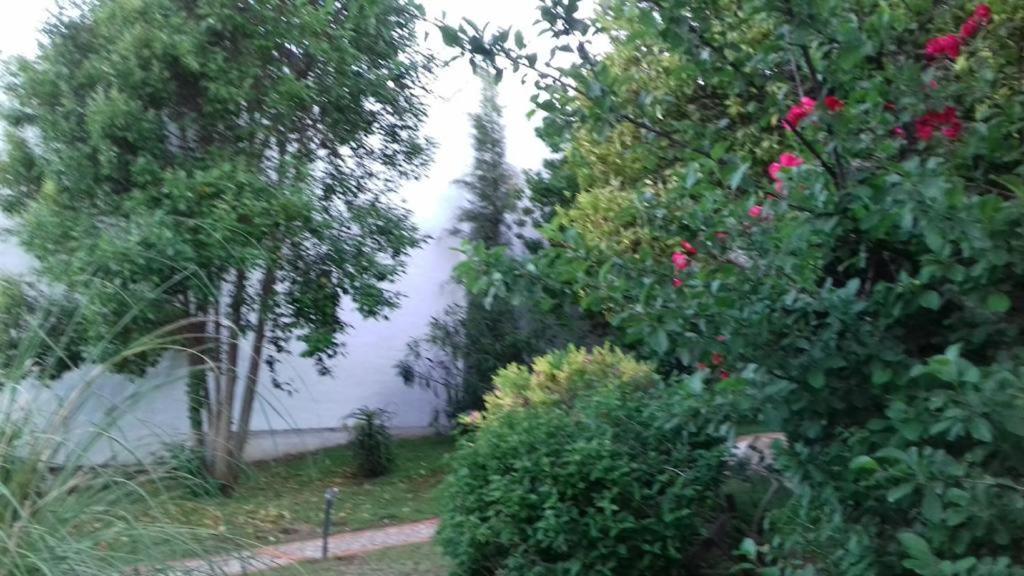 Casas De Almajar Βίλα Prado Del Rey Εξωτερικό φωτογραφία