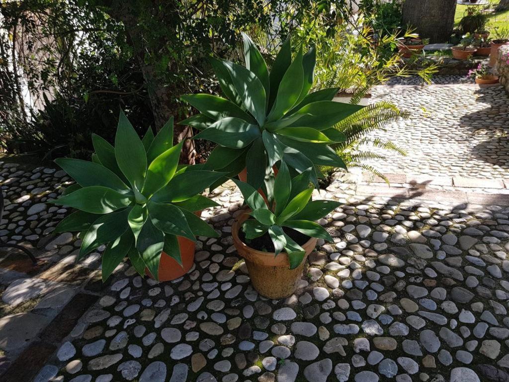 Casas De Almajar Βίλα Prado Del Rey Εξωτερικό φωτογραφία