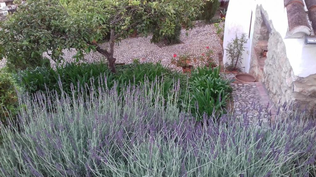 Casas De Almajar Βίλα Prado Del Rey Εξωτερικό φωτογραφία