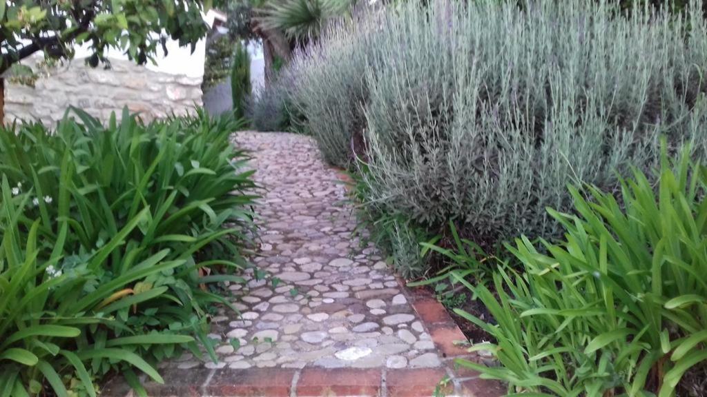 Casas De Almajar Βίλα Prado Del Rey Εξωτερικό φωτογραφία