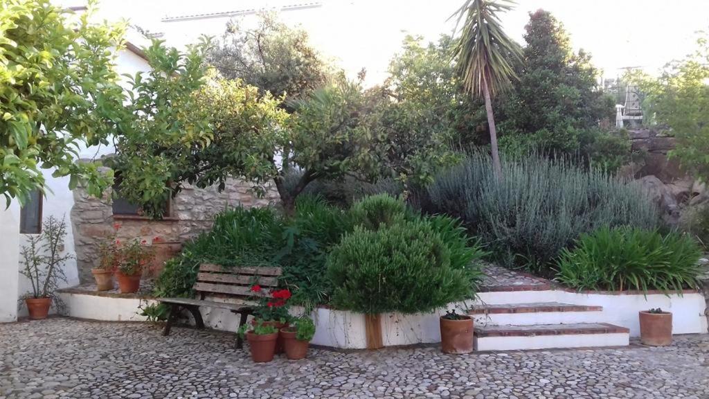 Casas De Almajar Βίλα Prado Del Rey Εξωτερικό φωτογραφία