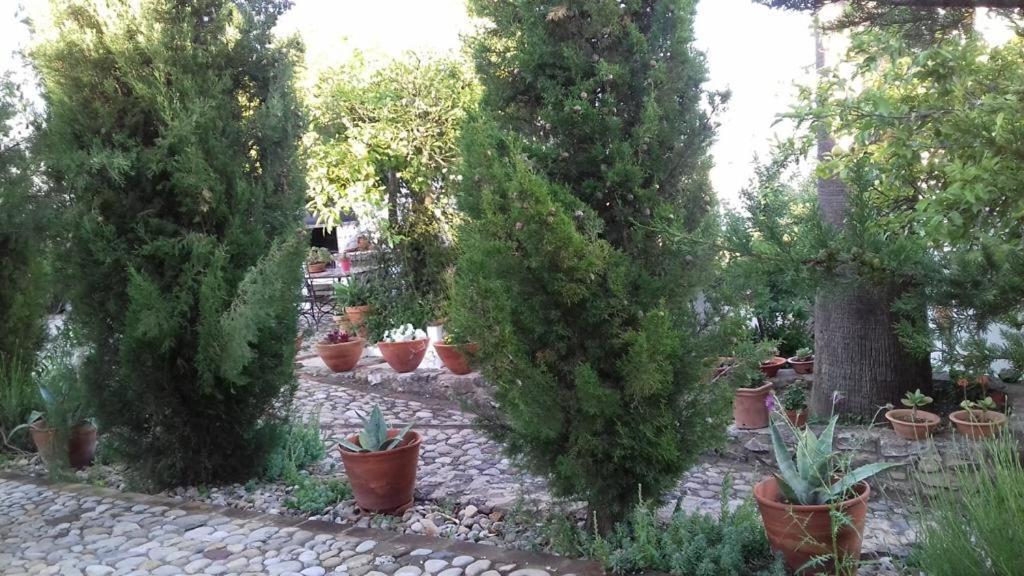 Casas De Almajar Βίλα Prado Del Rey Εξωτερικό φωτογραφία